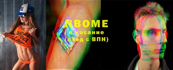 индика Абаза