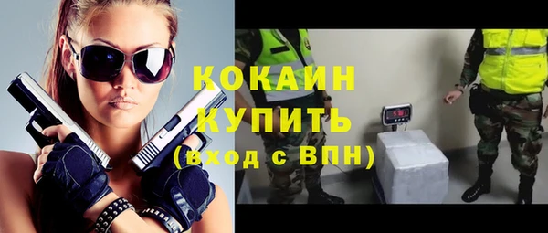 индика Абаза