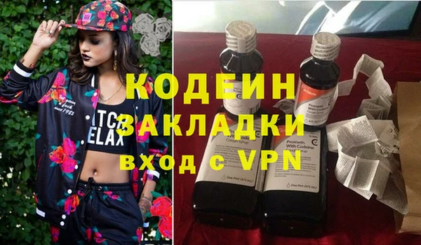 индика Абаза