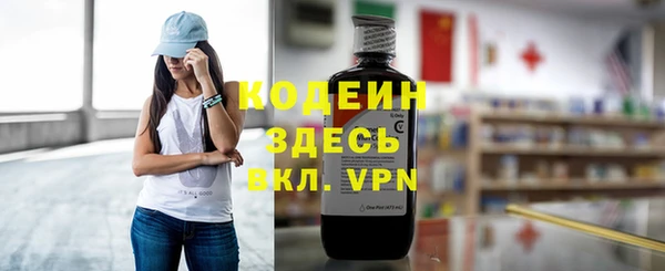 индика Абаза