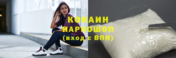 индика Абаза