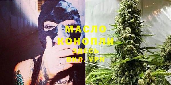 индика Абаза