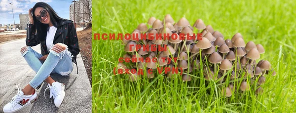 индика Абаза