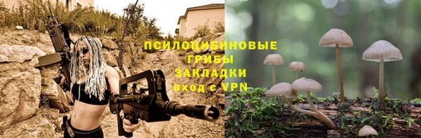 сатива Абдулино