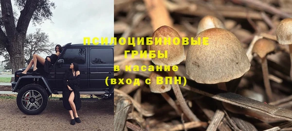гидра Алексин
