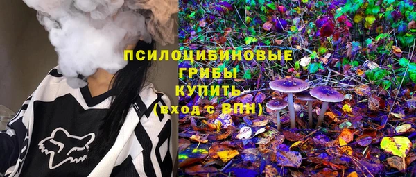 сатива Абдулино