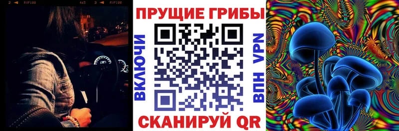 Галлюциногенные грибы Magic Shrooms Сокол
