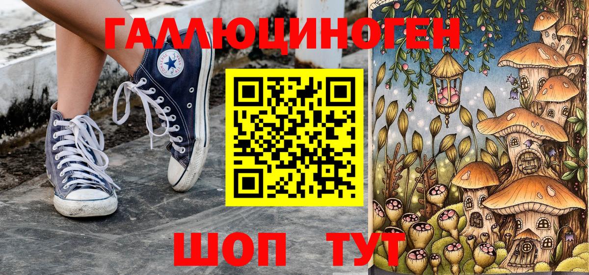 Сокол  Галлюциногенные грибы Cubensis  закладки  Псилоцибиновые грибы Magic Shrooms  Вход с VPN 